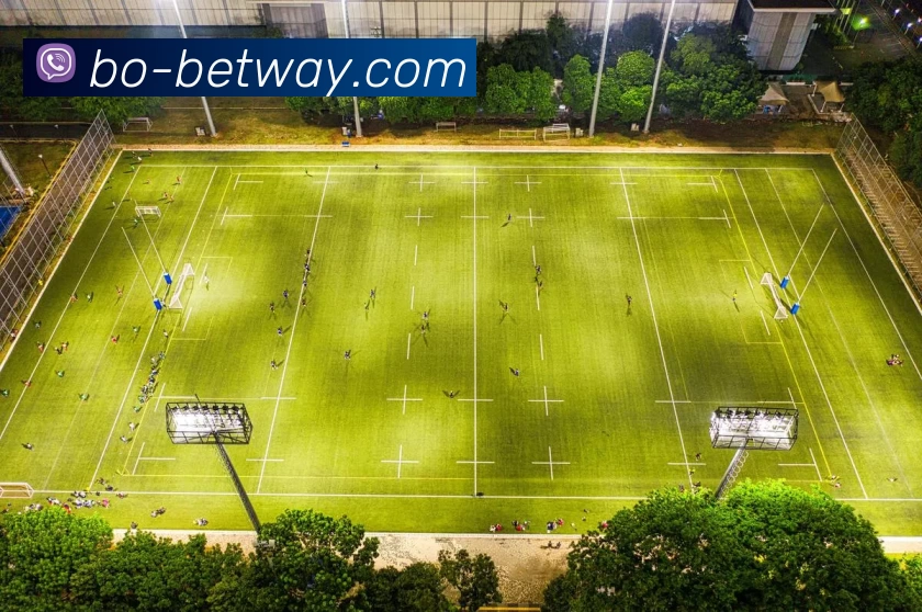 BETWAY体育官网服务体系
